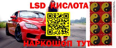 spice Будённовск