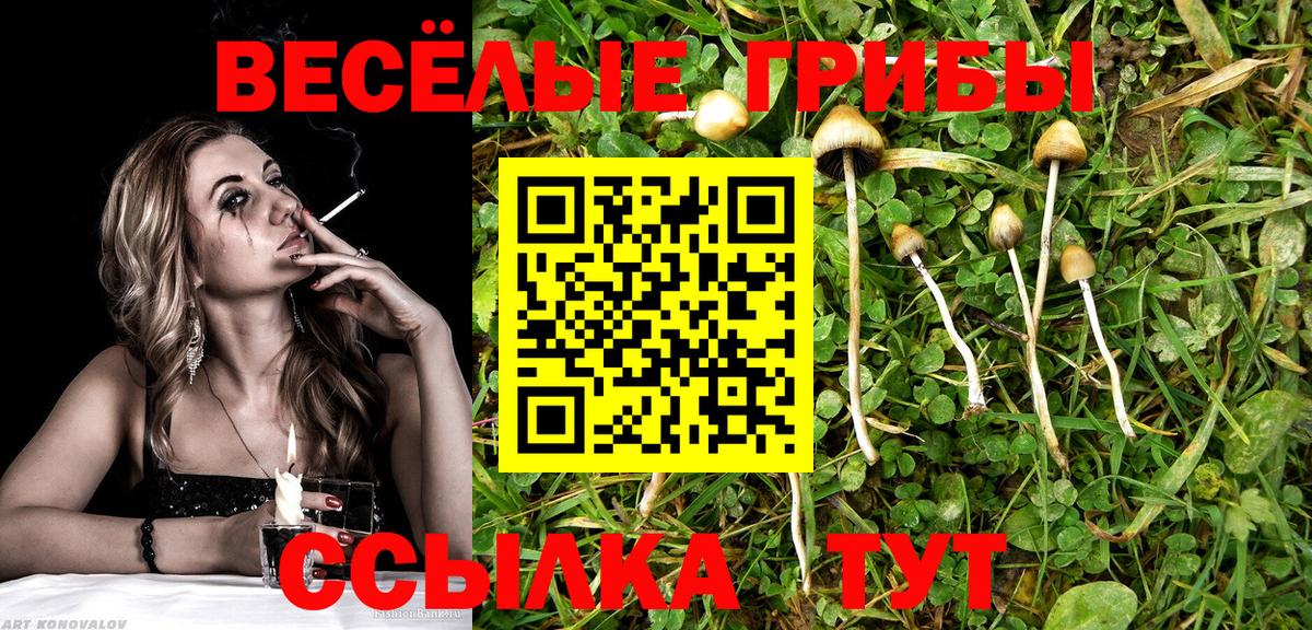 Псилоцибиновые грибы прущие грибы Усть-Джегута