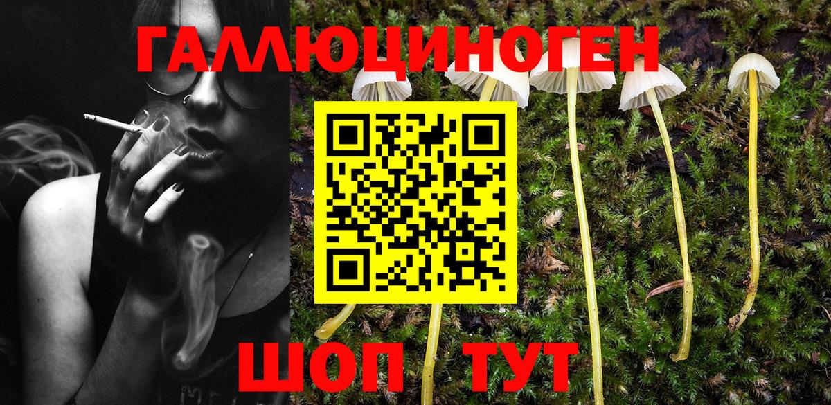 Усть-Джегута  Псилоцибиновые грибы прущие грибы  Вход с VPN 
